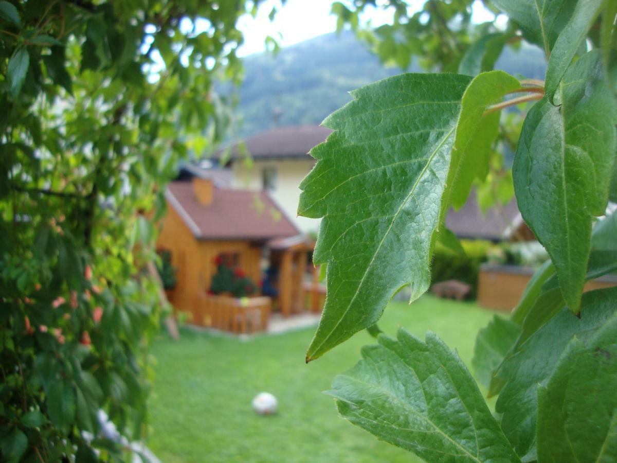 Haus Schnepfleitner Apartment Dorfgastein Ngoại thất bức ảnh